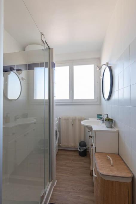 Villefranche-sur-Saône Cabana & Grand Appartement Cosy - Parking & Balcon מראה חיצוני תמונה