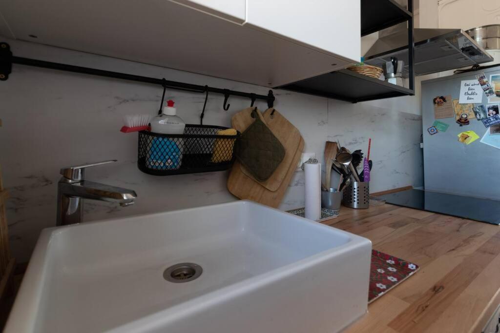 Villefranche-sur-Saône Cabana & Grand Appartement Cosy - Parking & Balcon מראה חיצוני תמונה
